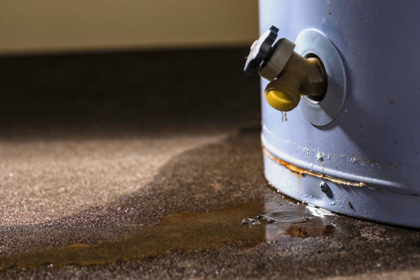 Best Flood restoration services  in Kapaa, HI