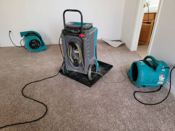 Best Professional water damage repair  in Kapaa, HI