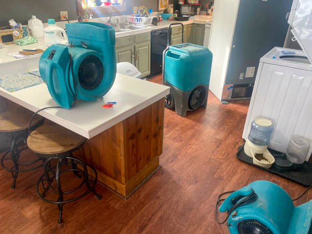 Best Water damage restoration near me  in Kapaa, HI