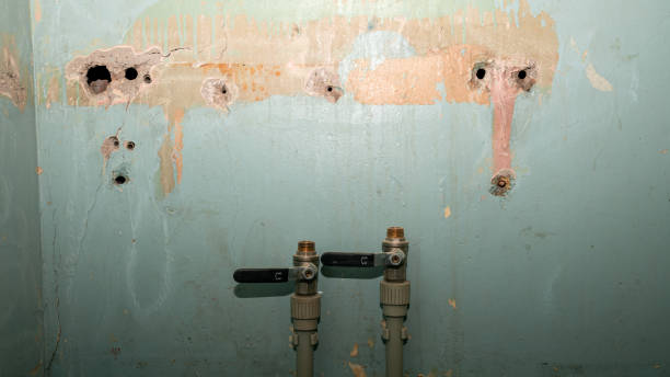 Best 24-hour water damage restoration  in Kapaa, HI