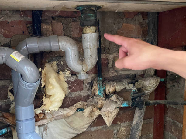 Best Commercial water damage restoration  in Kapaa, HI