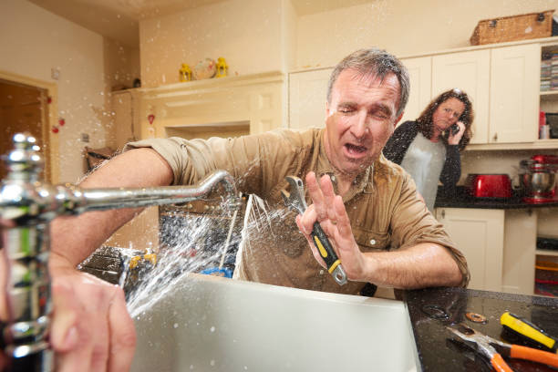 Best Water damage mitigation services  in Kapaa, HI